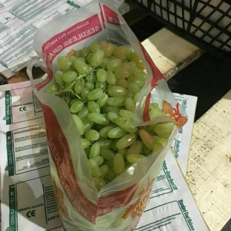 تولید کننده سولفورپد انگور صادراتی